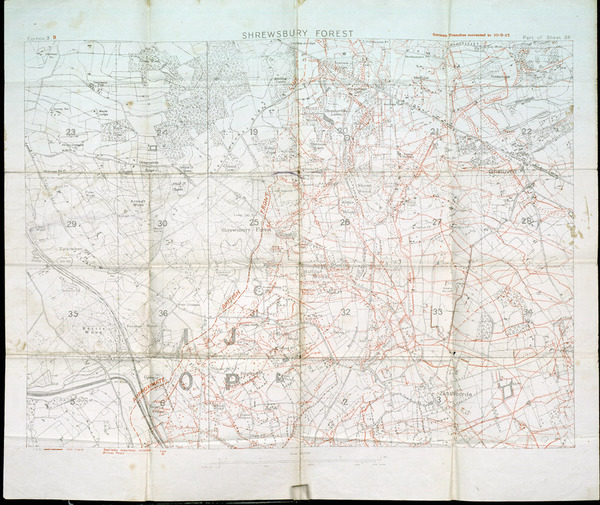 Shrewsbury Forest: Field Maps, 1917