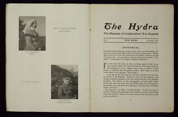 The Hydra: November 1917