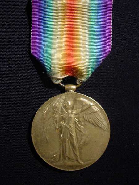 Victory Medal of Rowland Williams (1)