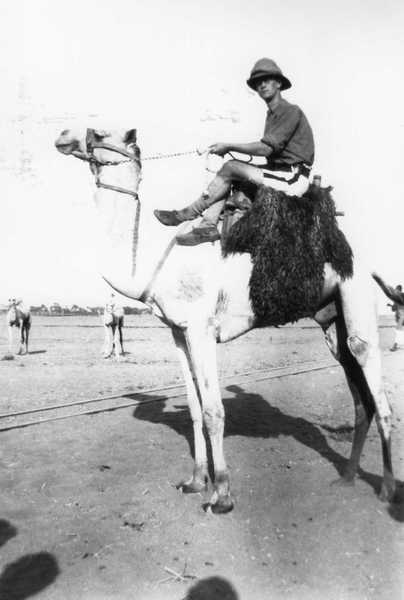 Charles Hampson, Photograph of one of the Manchesters on a camel (5)