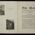 The Hydra: November 1917