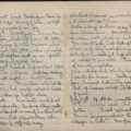 Diary of Dr W. Roy Blore (7)