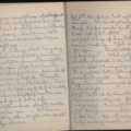 Diary of Dr W. Roy Blore (17)