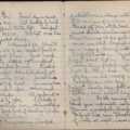 Diary of Dr W. Roy Blore (2)