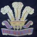 Embroidered Cap Badges of William Freeman Baker, Welsh Regiment (2)