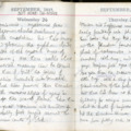 Pocket Diary 1917 / But None Oh None