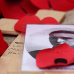 Image of commemoration poppies